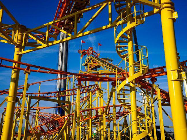Wild Mouse