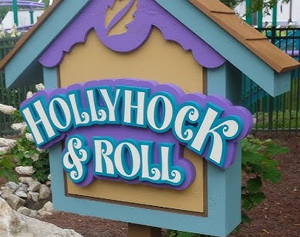 Hollyhock and Roll